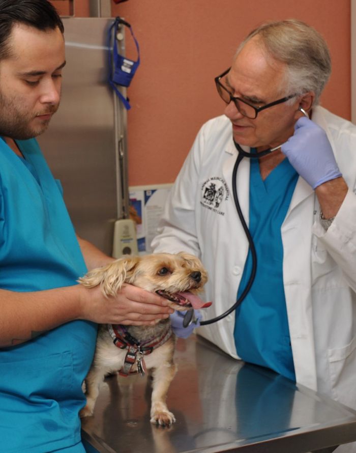 doctor douglas checking the health from a puppy with his assistant